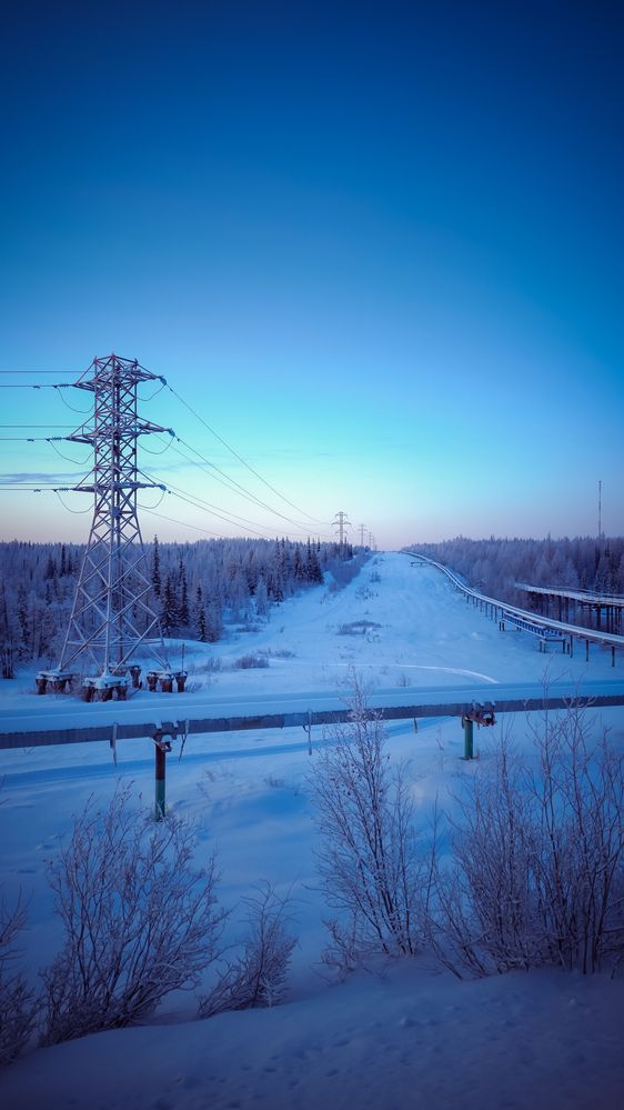 Фотография автора Дмитрий Шевченко