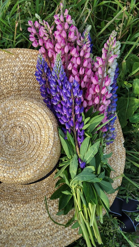 Photograph by Дарья