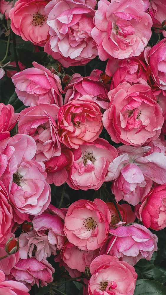 Photograph by Дарья