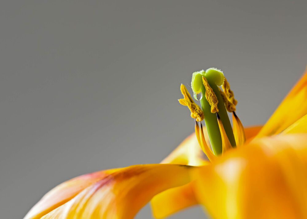 Photograph by Natalia Macoveiciuc