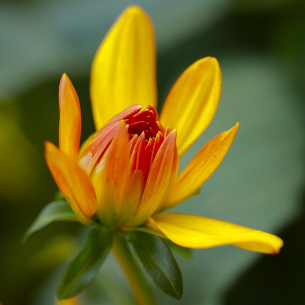 Photograph by Гагик Саркисян