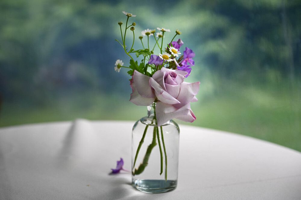 Photograph by Natalia Macoveiciuc