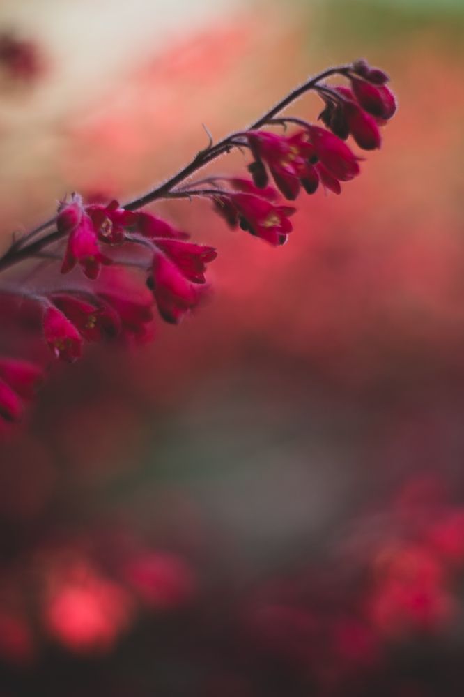 Photograph by Ксения Астафьева