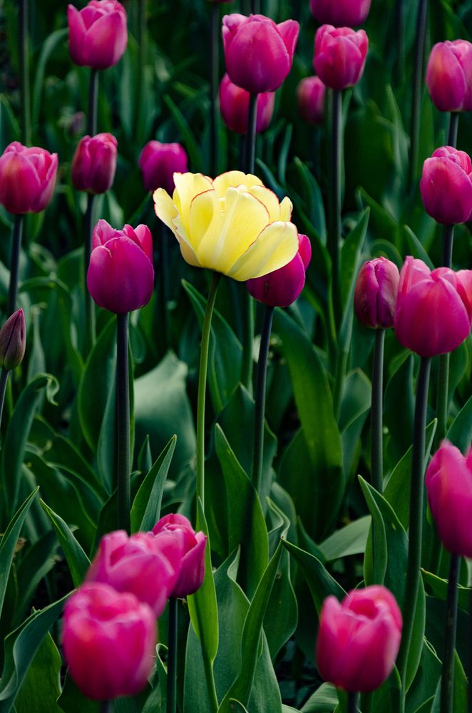 Photograph by Алёна