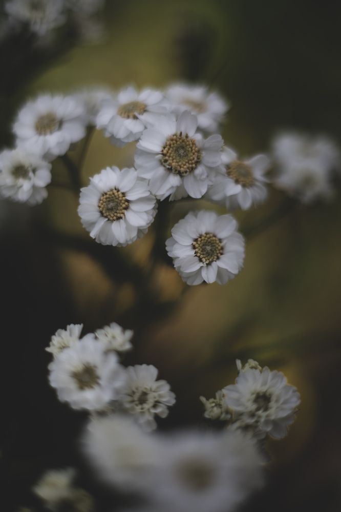 Photograph by Ксения Астафьева