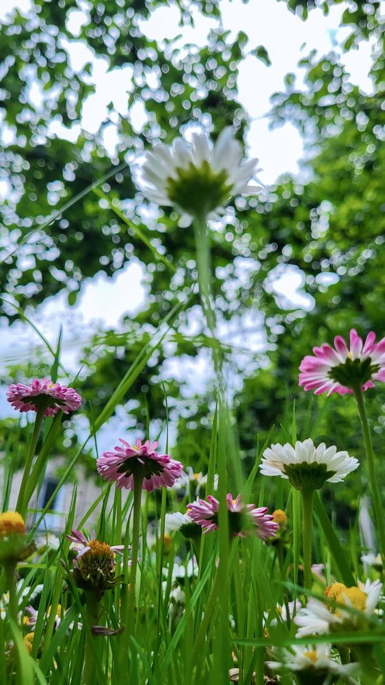 Photograph by Дарья