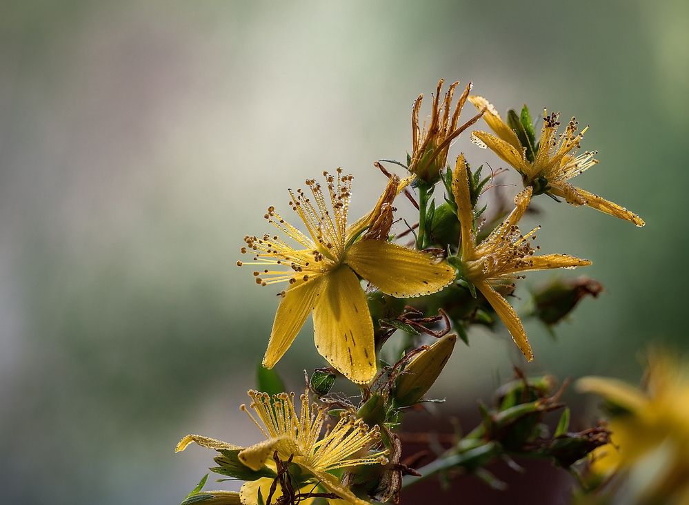 Photograph by Татьяна Эрбутаева