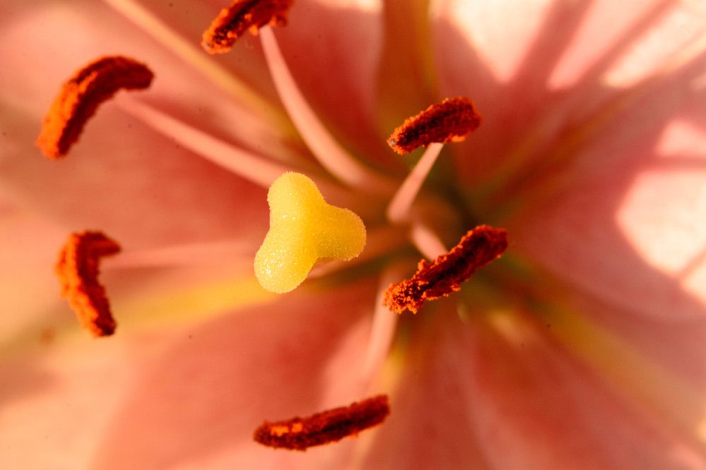 Photograph by Дмитрий Шулаков