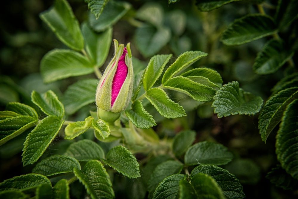 Фотография автора Татьяна Лунюшкина