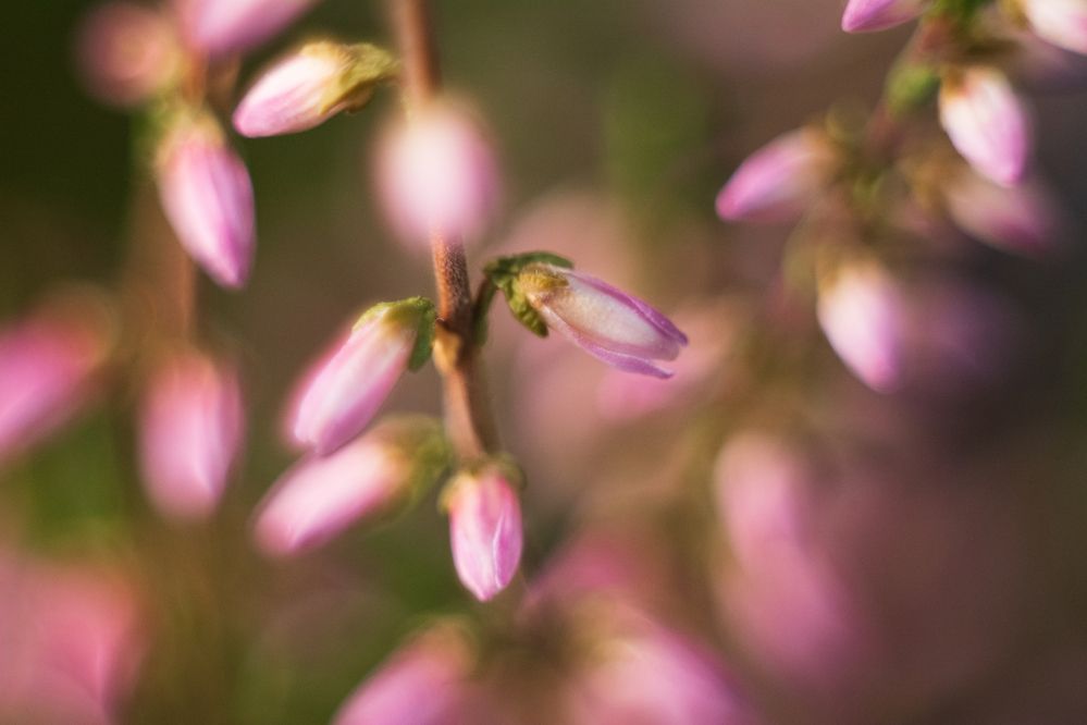 Photograph by Дмитрий Шулаков