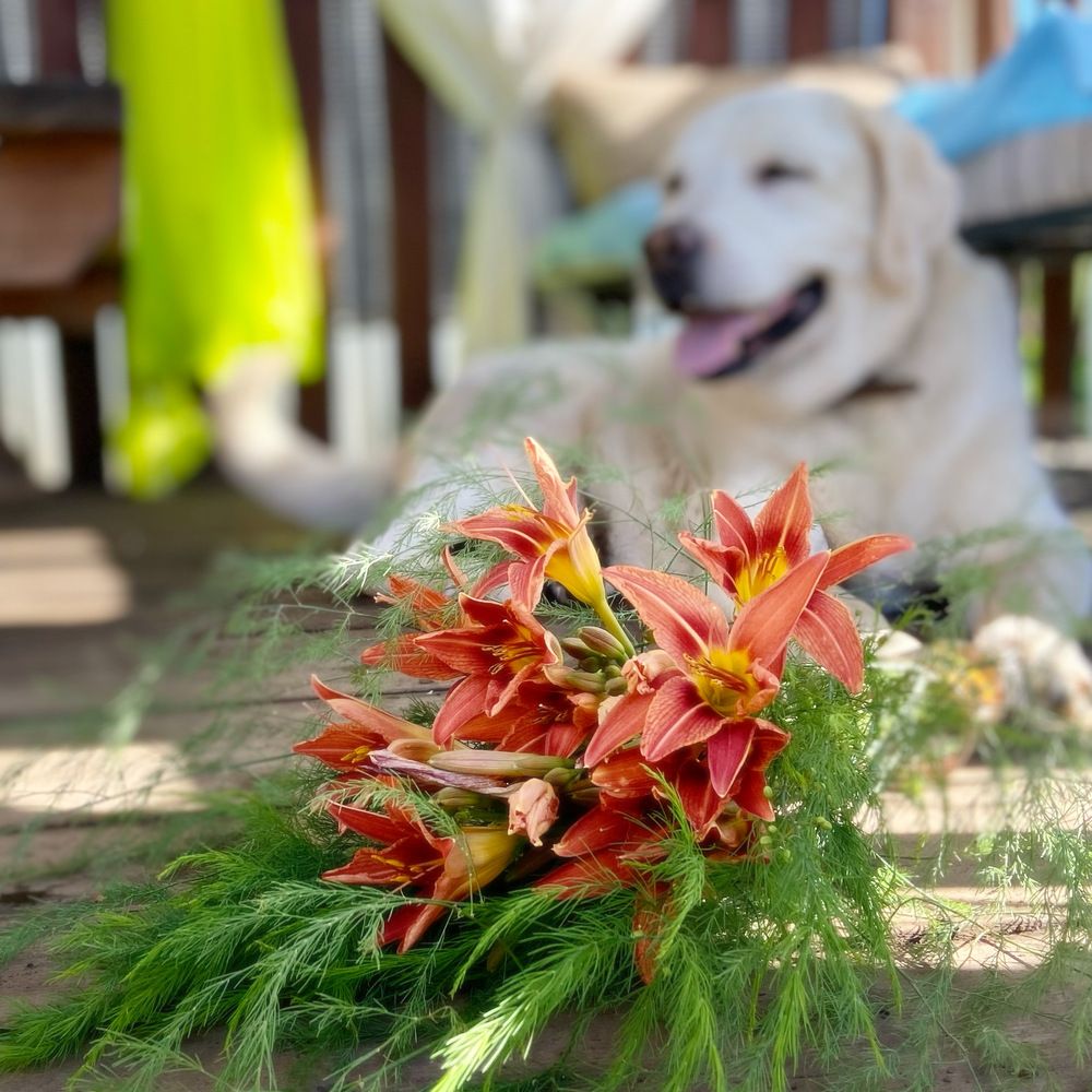 Photograph by Наталья Душакова