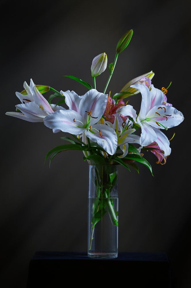 Photograph by Валерий Коновалов