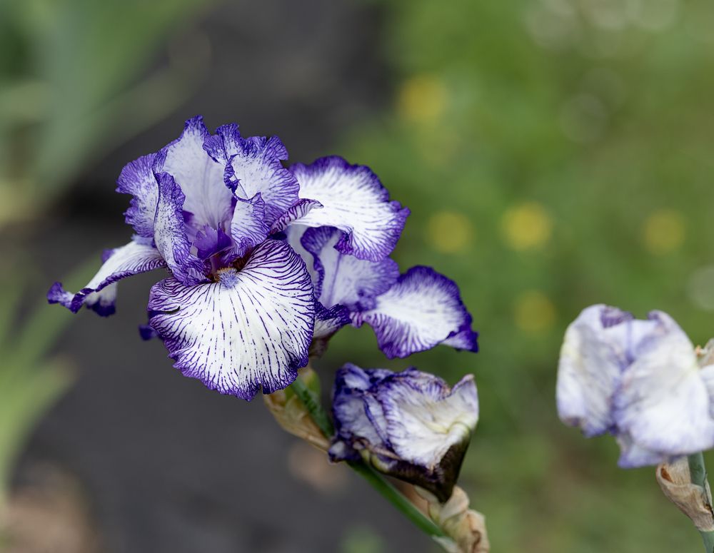 Photograph by Алёна