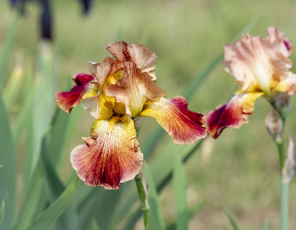 Photograph by Алёна