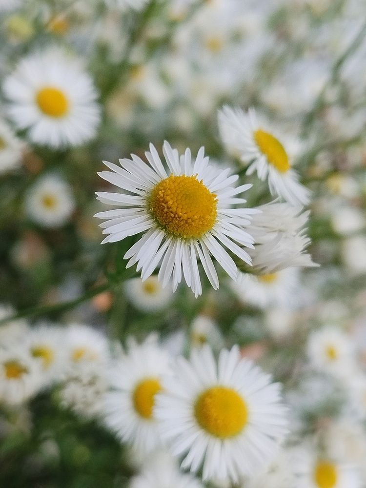 Photo #12470763