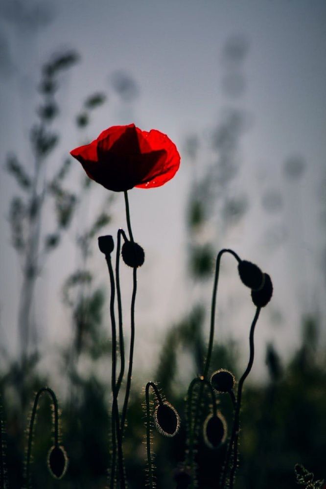 Photograph by Екатерина Иванова