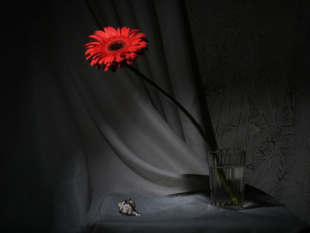 Photograph by Тим Мартынов