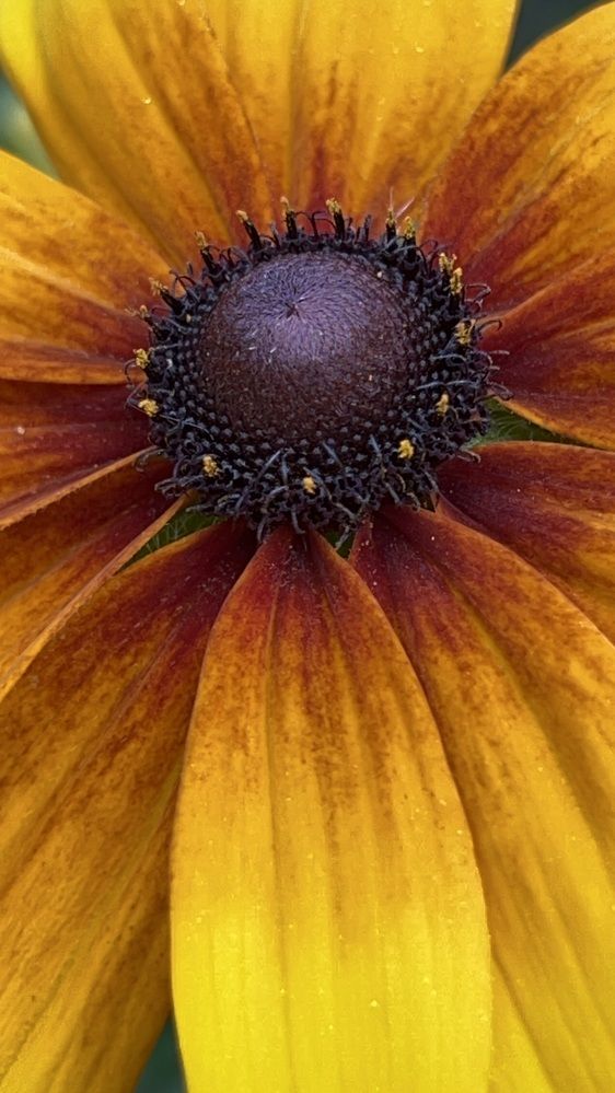 Photograph by Ольга Евтухова