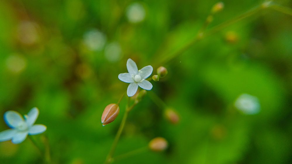 Photograph by Venu Peyyala