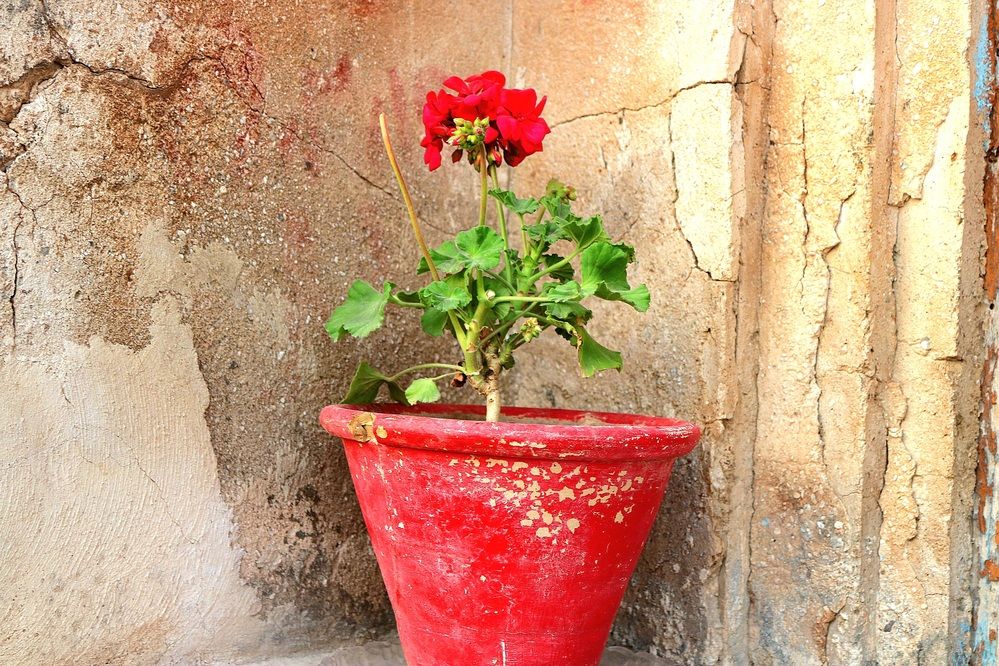 Photograph by Babak Akvan