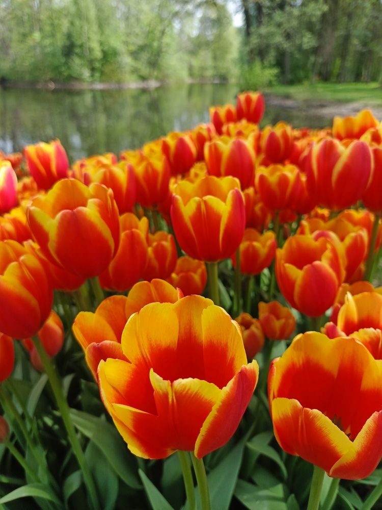 Photograph by Наталья Покрепина