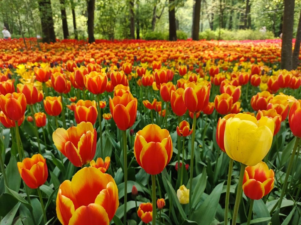 Photograph by Наталья Покрепина