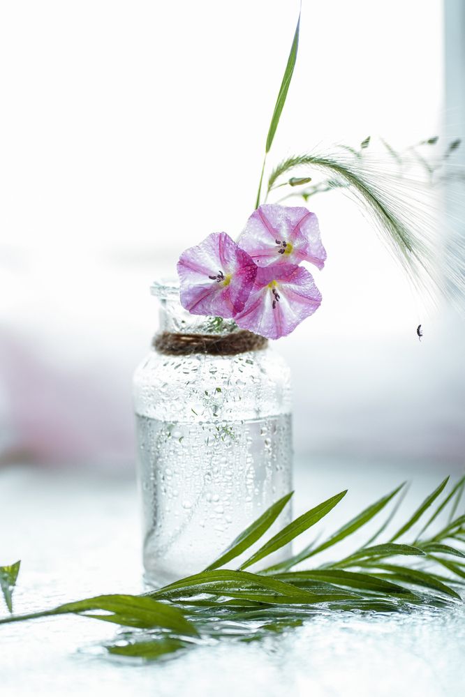 Photograph by Ольга Клименкова