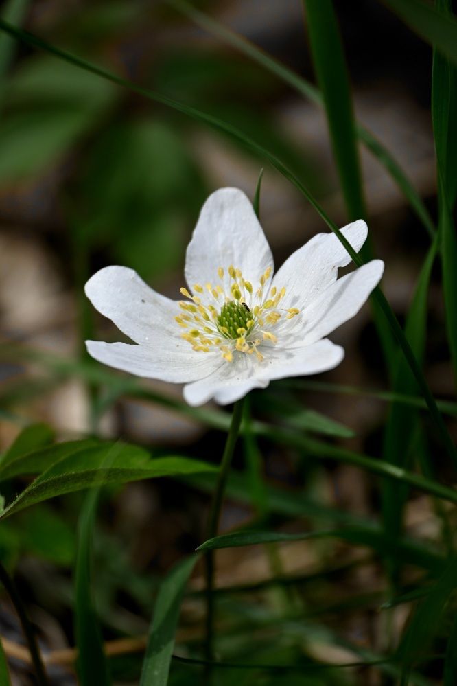 Photograph by Егор Жук