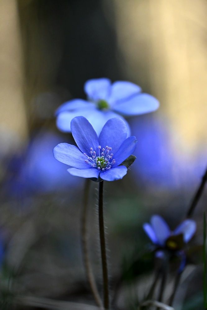 Photograph by Егор Жук