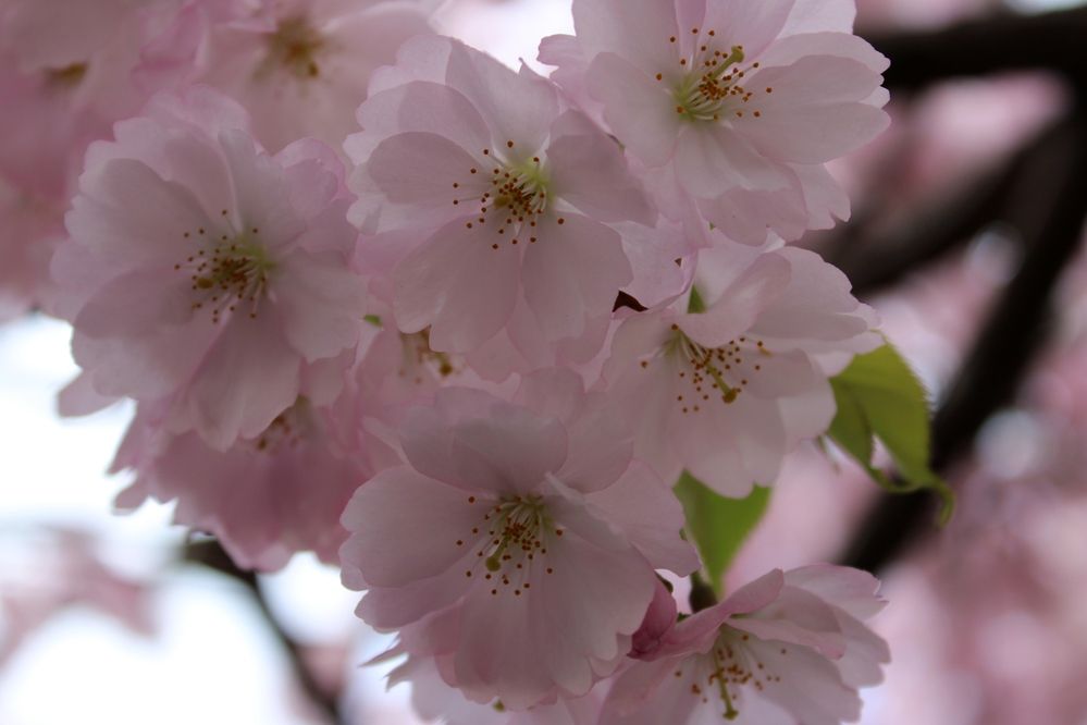 Photograph by Olga Bagaeva