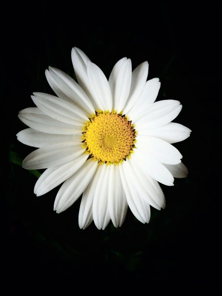 Фотография автора Марина