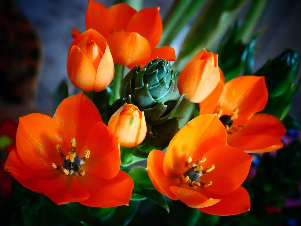 Фотография автора Марина