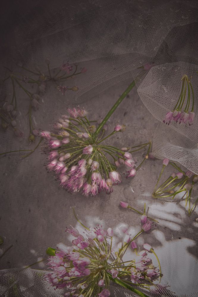 Photograph by Ольга Клименкова