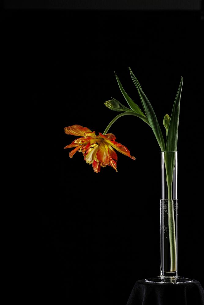 Photograph by Вячеслав Залитко