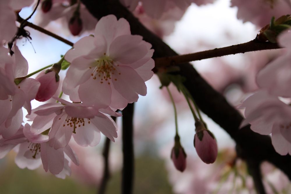 Photograph by Olga Bagaeva