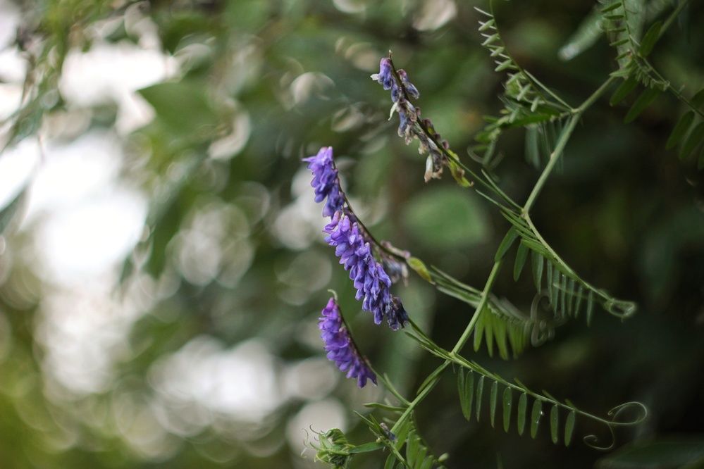 Фотография автора Екатерина Солохина