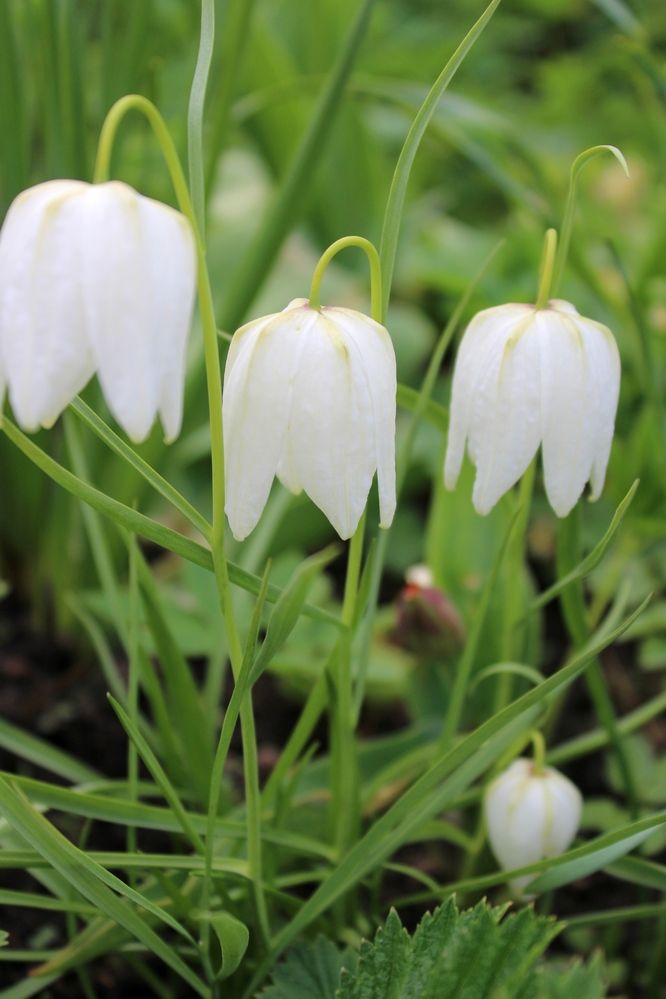 Photograph by Olga Bagaeva