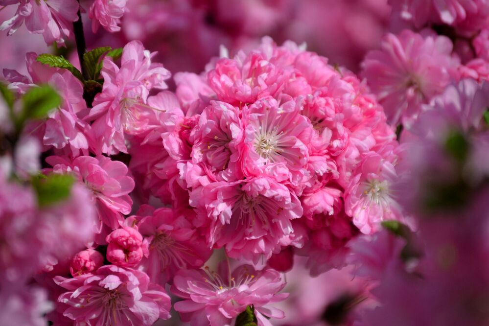 Photograph by Екатерина Шустова