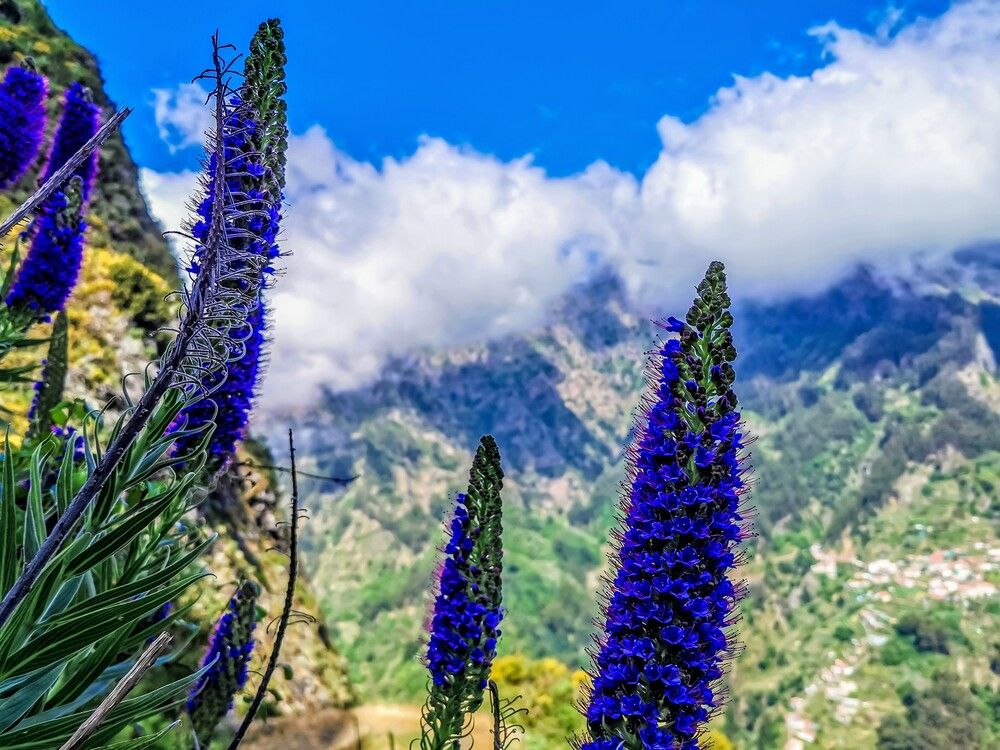 Фотография автора Ian Heard