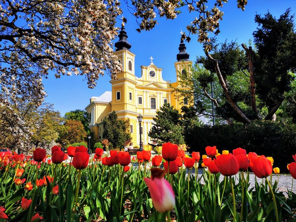 Фотография автора Ian Heard