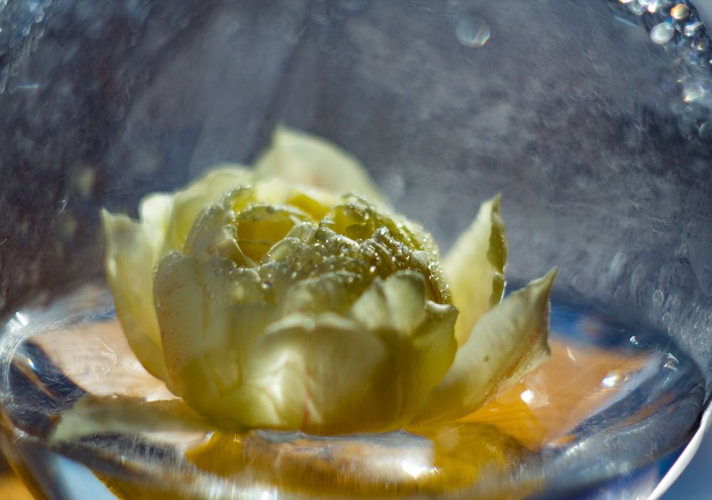 Фотография автора Виктория