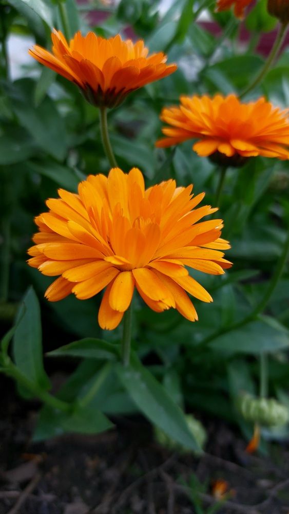 Photograph by Наталья