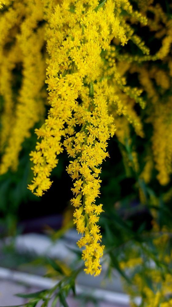 Photograph by Наталья