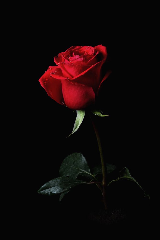 Photograph by Alexander Eliseev