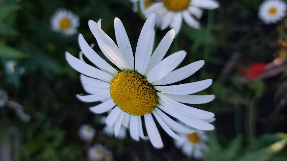 Photograph by Наталья