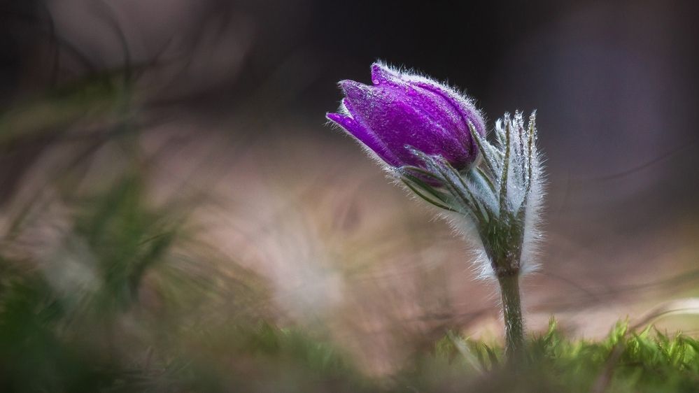 Photograph by Alexander Eliseev
