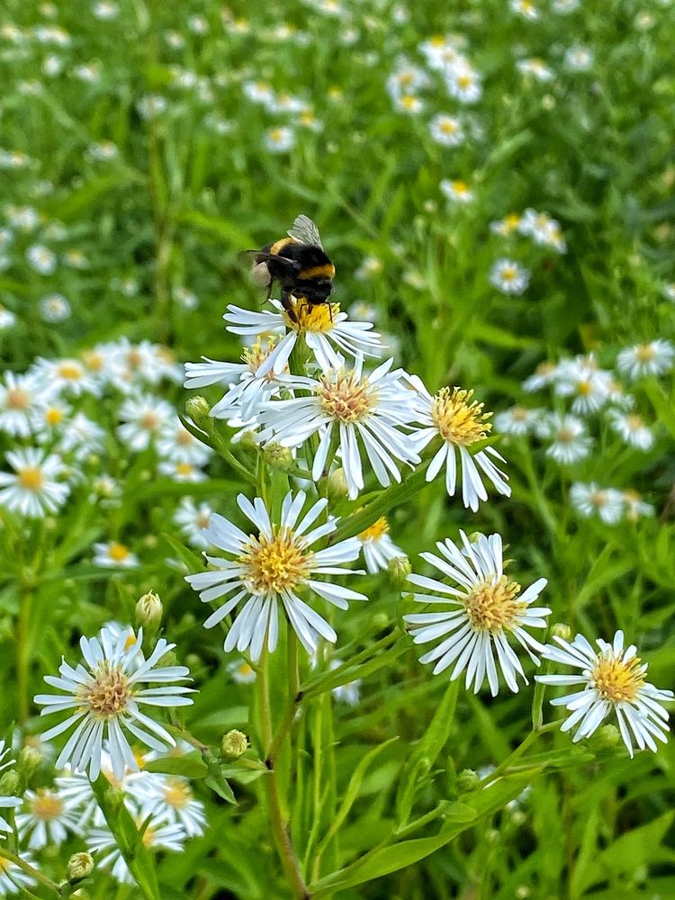 Photograph by Василина Щеглова