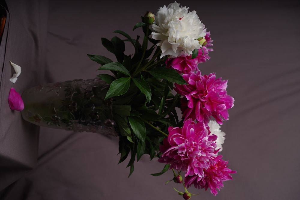 Photograph by Андрей Корытов