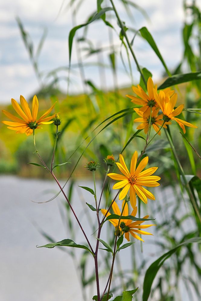 Photograph by Евгений Беленков
