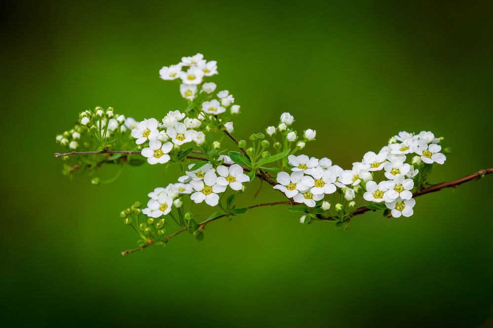 Photograph by Владимир Говоров